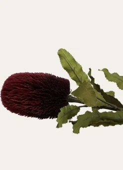 Bouchara Plante, Fleur^FLEUR ARTIFICIELLE BANKSIA
