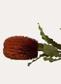 Bouchara Plante, Fleur^FLEUR ARTIFICIELLE BANKSIA