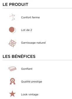 Bouchara Oreiller, Traversin^LOT DE 2 OREILLERS CARRÉS EN PLUMETTES