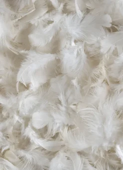 Bouchara Oreiller, Traversin^OREILLER CARRÉ NATUREL FERME ANTI-ACARIENS