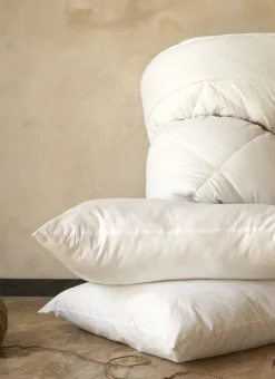 Bouchara Oreiller, Traversin^OREILLER MOELLEUX EN PERCALE DE COTON