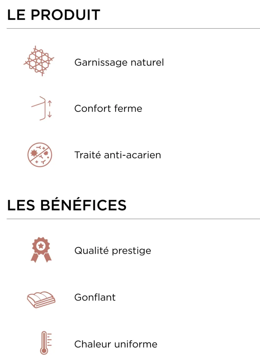 Bouchara Oreiller, Traversin^OREILLER RECTANGULAIRE NATUREL FERME ANTI-ACARIENS