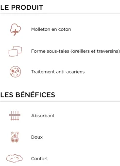 Bouchara Protection Literie^SOUS-TAIE DE TRAVERSIN EN COTON 220GR